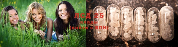 тгк Абдулино